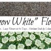"Snow White" Flower, Ammi visnaga - Heirloom Seeds by Liliana's Garden