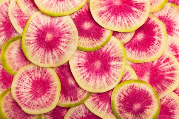 A picture of thin slices of watermelon radish layered on top of one another. Each slice is bright pink in the center with the color fading as it radiates toward the outside edge of the slice. The edge or skin of the radish is a pale green.