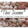 Thai Jicama Seeds - Crisp, Sweet, Apple-like Tubers | Heirloom Seeds by Liliana's Garden |